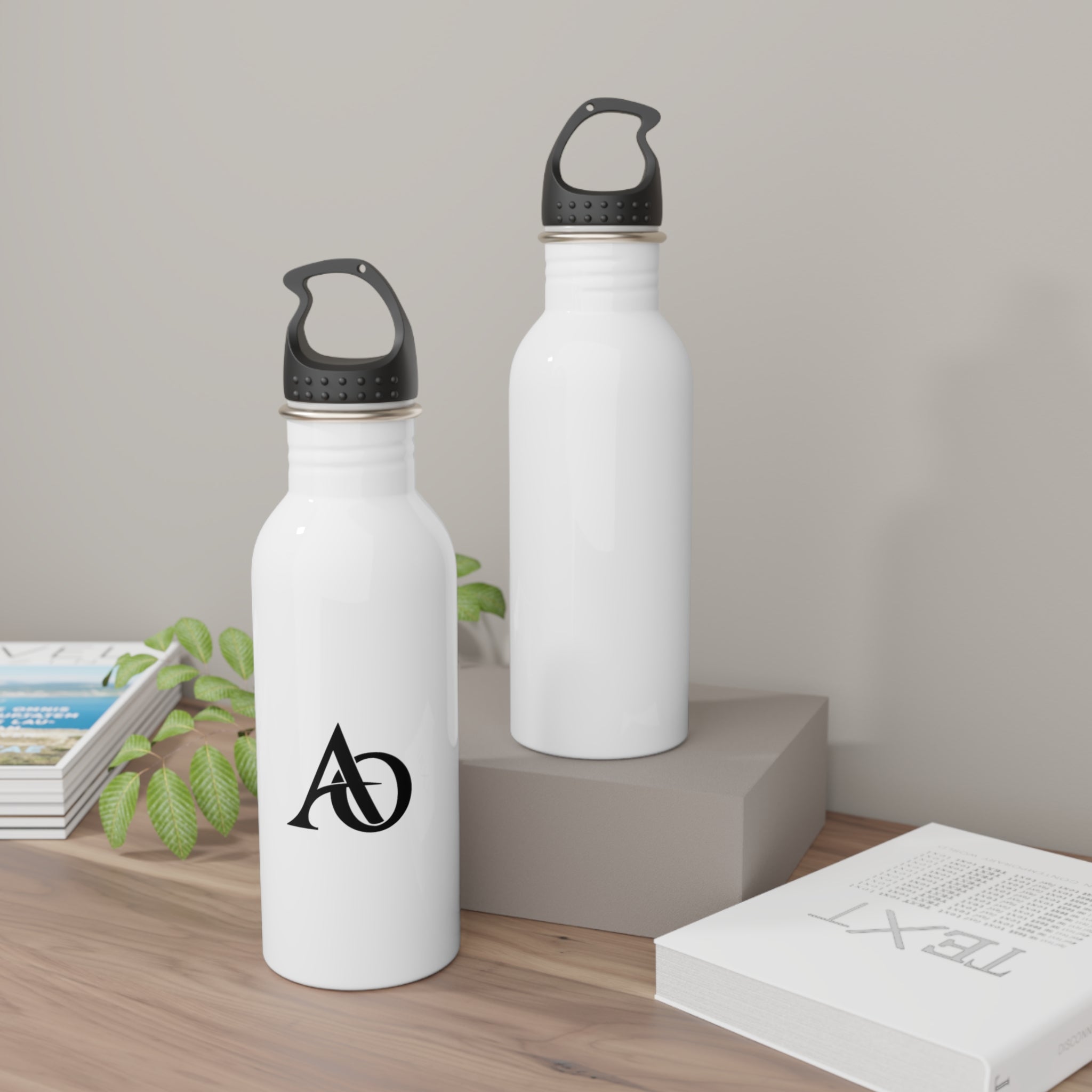 Stainless Steel Water Bottle